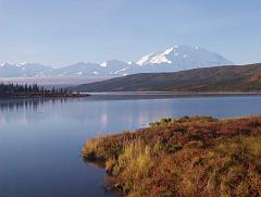 denali wl